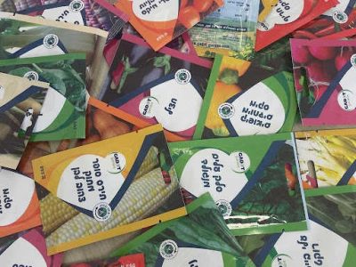 All Sorts of Seeds for Home Gardening Fans
